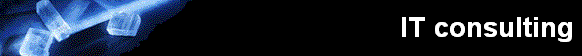  IT consulting 
